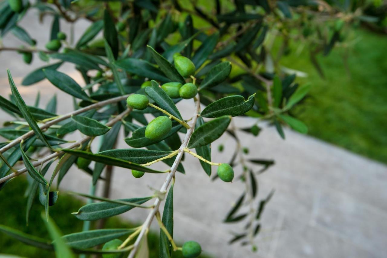 Olive 303 Lejlighed Peraía Eksteriør billede